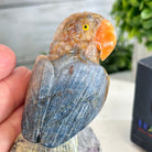 Small Hand - Carved Orange Apatite Parrot on an Amethyst Base, #3002 - OPPAM - 026 - Brazil GemsBrazil GemsSmall Hand - Carved Orange Apatite Parrot on an Amethyst Base, #3002 - OPPAM - 026Crystal Birds3002 - OPPAM - 026