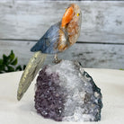 Small Hand - Carved Orange Apatite Parrot on an Amethyst Base, #3002 - OPPAM - 026 - Brazil GemsBrazil GemsSmall Hand - Carved Orange Apatite Parrot on an Amethyst Base, #3002 - OPPAM - 026Crystal Birds3002 - OPPAM - 026