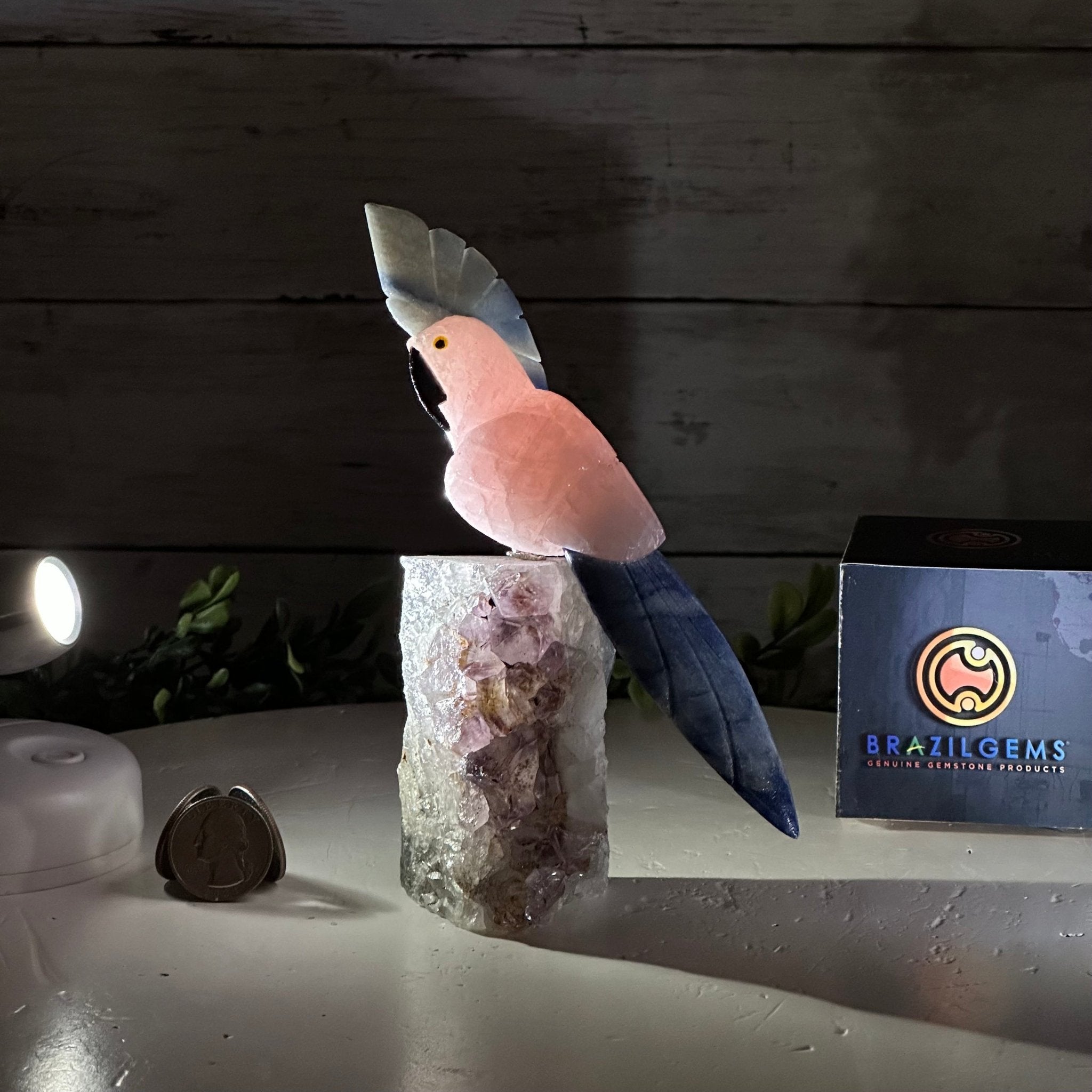 Small Hand - Carved Rose Quartz Cockatoo on an Amethyst Base, #3002 - RQCAM - 011 - Brazil GemsBrazil GemsSmall Hand - Carved Rose Quartz Cockatoo on an Amethyst Base, #3002 - RQCAM - 011Crystal Birds3002 - RQCAM - 011