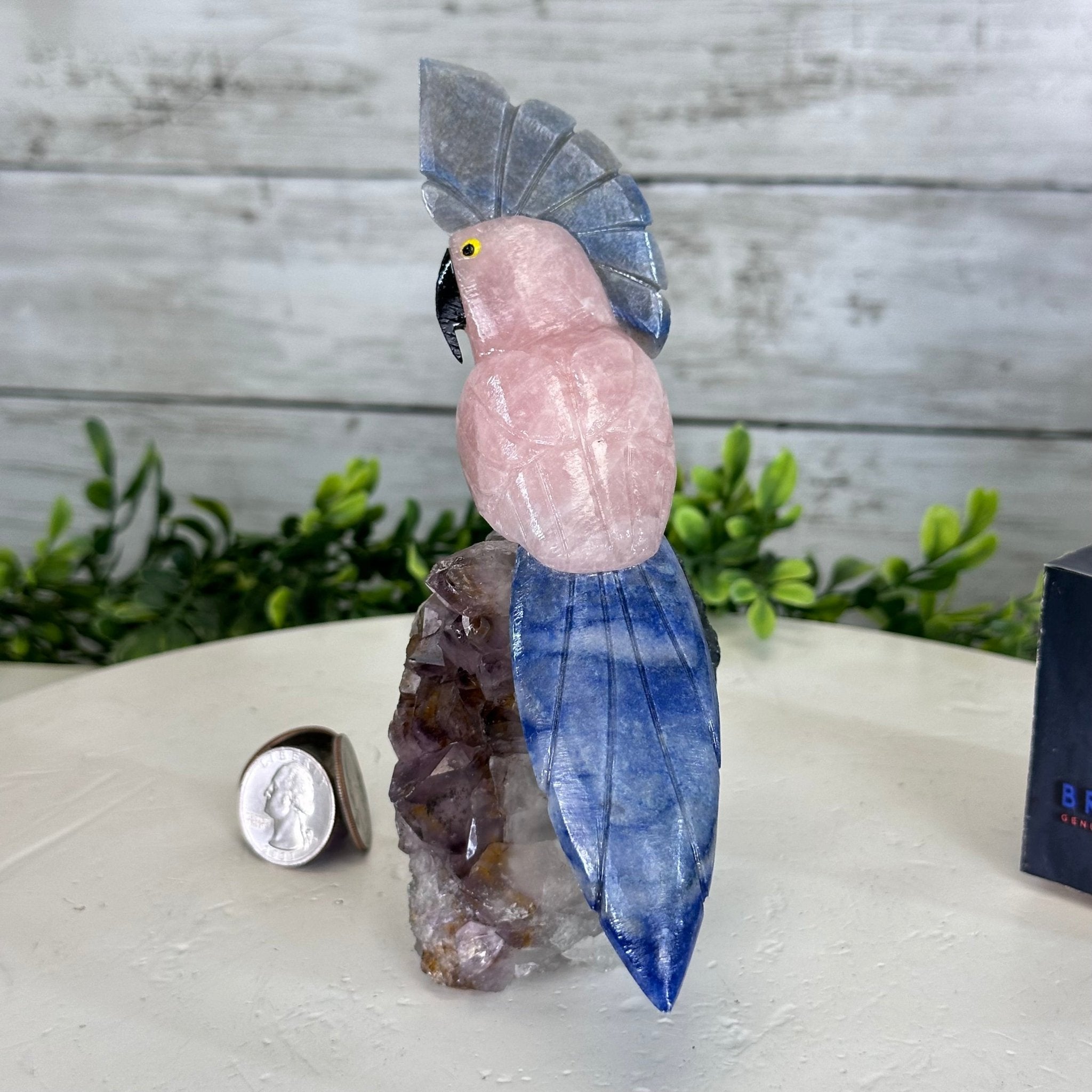 Small Hand - Carved Rose Quartz Cockatoo on an Amethyst Base, #3002 - RQCAM - 011 - Brazil GemsBrazil GemsSmall Hand - Carved Rose Quartz Cockatoo on an Amethyst Base, #3002 - RQCAM - 011Crystal Birds3002 - RQCAM - 011