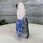 Small Hand - Carved Rose Quartz Parrot on an Amethyst Base #3002 - RQPAM - 028 - Brazil GemsBrazil GemsSmall Hand - Carved Rose Quartz Parrot on an Amethyst Base #3002 - RQPAM - 028Crystal Birds3002 - RQPAM - 028