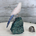 Small Hand - Carved Rose Quartz Parrot on an Amethyst Base #3002 - RQPAM - 028 - Brazil GemsBrazil GemsSmall Hand - Carved Rose Quartz Parrot on an Amethyst Base #3002 - RQPAM - 028Crystal Birds3002 - RQPAM - 028