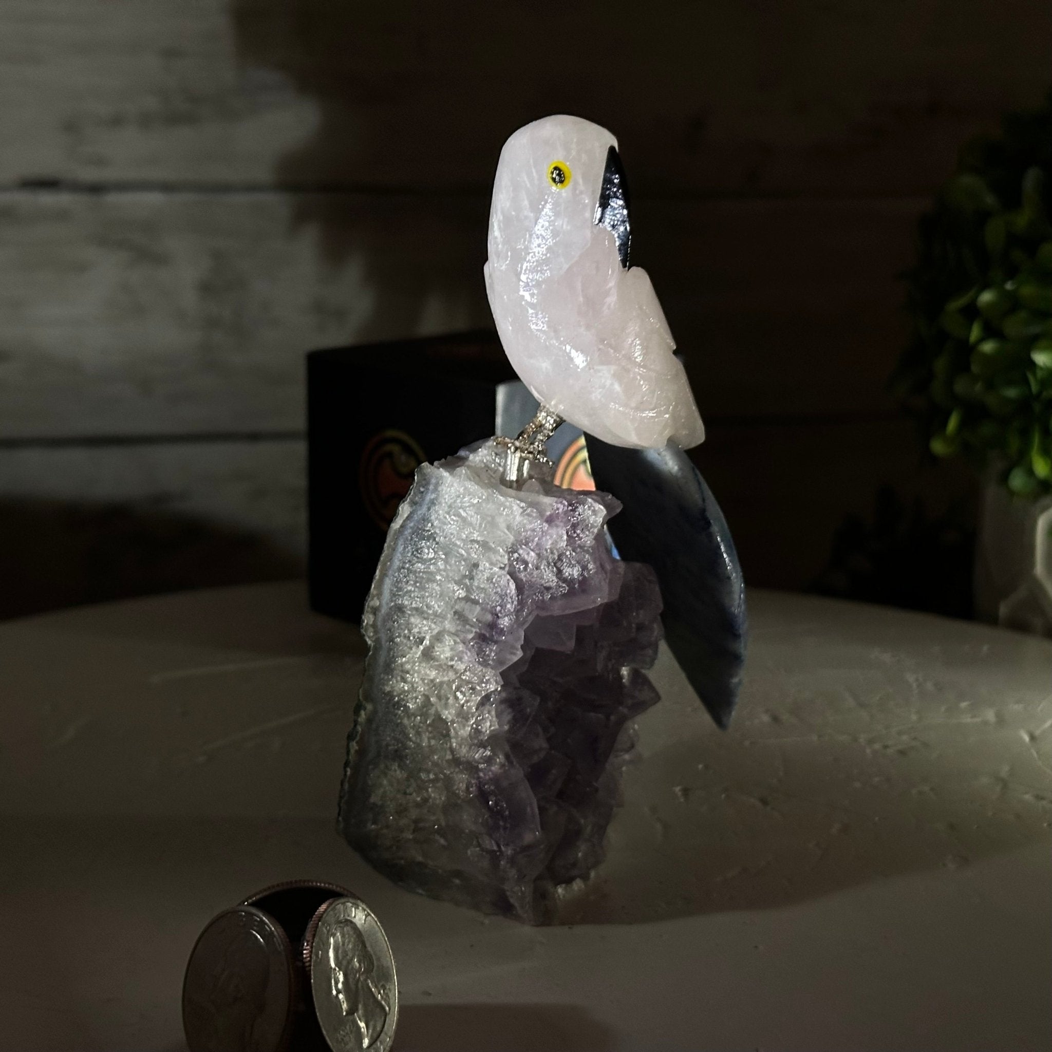 Small Hand - Carved Rose Quartz Parrot on an Amethyst Base #3002 - RQPAM - 028 - Brazil GemsBrazil GemsSmall Hand - Carved Rose Quartz Parrot on an Amethyst Base #3002 - RQPAM - 028Crystal Birds3002 - RQPAM - 028