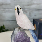 Small Hand - Carved Rose Quartz Parrot on an Amethyst Base #3002 - RQPAM - 028 - Brazil GemsBrazil GemsSmall Hand - Carved Rose Quartz Parrot on an Amethyst Base #3002 - RQPAM - 028Crystal Birds3002 - RQPAM - 028