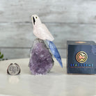 Small Hand - Carved Rose Quartz Parrot on an Amethyst Base #3002 - RQPAM - 028 - Brazil GemsBrazil GemsSmall Hand - Carved Rose Quartz Parrot on an Amethyst Base #3002 - RQPAM - 028Crystal Birds3002 - RQPAM - 028