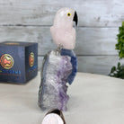 Small Hand - Carved Rose Quartz Parrot on an Amethyst Base #3002 - RQPAM - 028 - Brazil GemsBrazil GemsSmall Hand - Carved Rose Quartz Parrot on an Amethyst Base #3002 - RQPAM - 028Crystal Birds3002 - RQPAM - 028