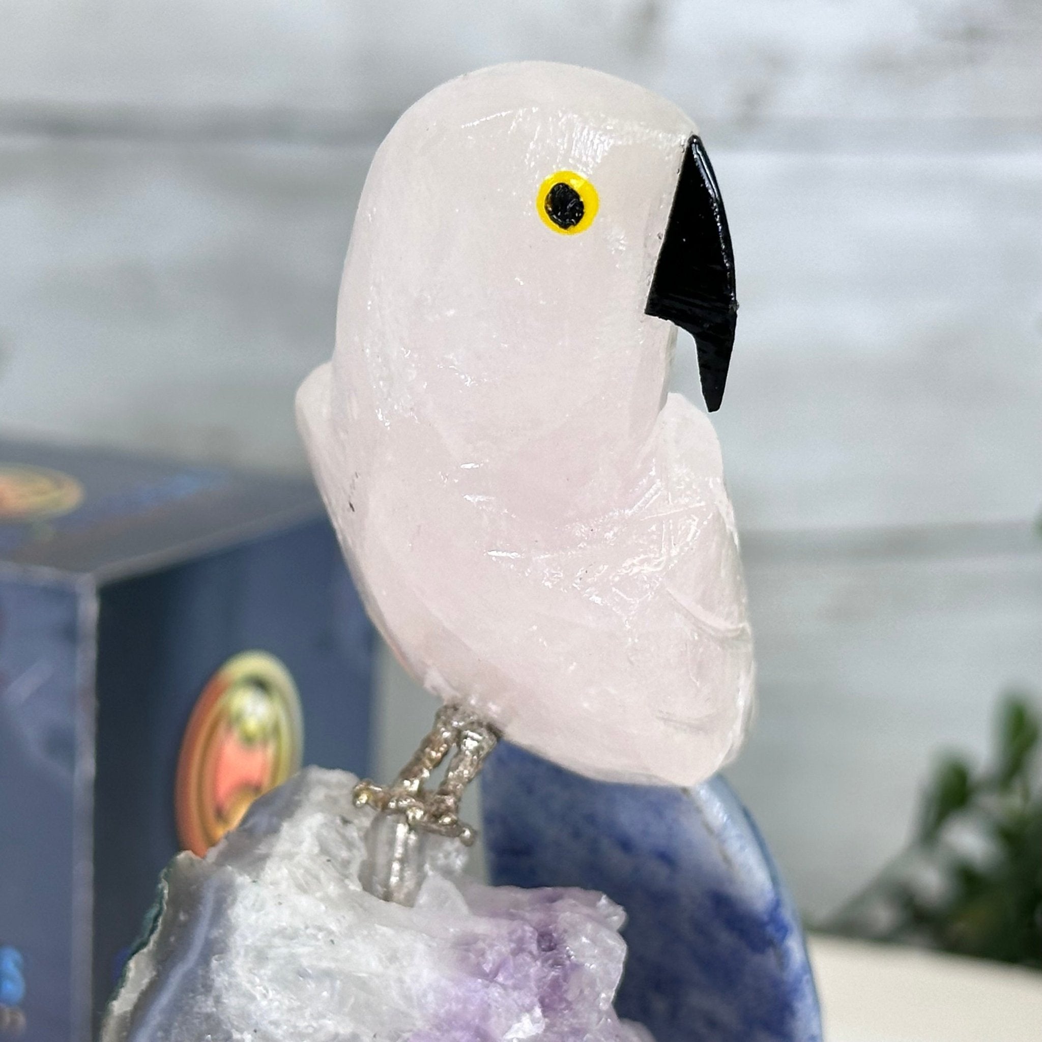 Small Hand - Carved Rose Quartz Parrot on an Amethyst Base #3002 - RQPAM - 028 - Brazil GemsBrazil GemsSmall Hand - Carved Rose Quartz Parrot on an Amethyst Base #3002 - RQPAM - 028Crystal Birds3002 - RQPAM - 028