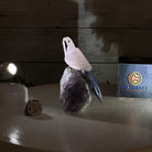 Small Hand - Carved Rose Quartz Parrot on an Amethyst Base #3002 - RQPAM - 028 - Brazil GemsBrazil GemsSmall Hand - Carved Rose Quartz Parrot on an Amethyst Base #3002 - RQPAM - 028Crystal Birds3002 - RQPAM - 028