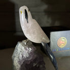 Small Hand - Carved Rose Quartz Parrot on an Amethyst Base #3002 - RQPAM - 028 - Brazil GemsBrazil GemsSmall Hand - Carved Rose Quartz Parrot on an Amethyst Base #3002 - RQPAM - 028Crystal Birds3002 - RQPAM - 028