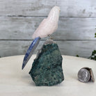 Small Hand - Carved Rose Quartz Parrot on an Amethyst Base #3002 - RQPAM - 028 - Brazil GemsBrazil GemsSmall Hand - Carved Rose Quartz Parrot on an Amethyst Base #3002 - RQPAM - 028Crystal Birds3002 - RQPAM - 028