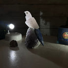 Small Hand - Carved Rose Quartz Parrot on an Amethyst Base #3002 - RQPAM - 028 - Brazil GemsBrazil GemsSmall Hand - Carved Rose Quartz Parrot on an Amethyst Base #3002 - RQPAM - 028Crystal Birds3002 - RQPAM - 028