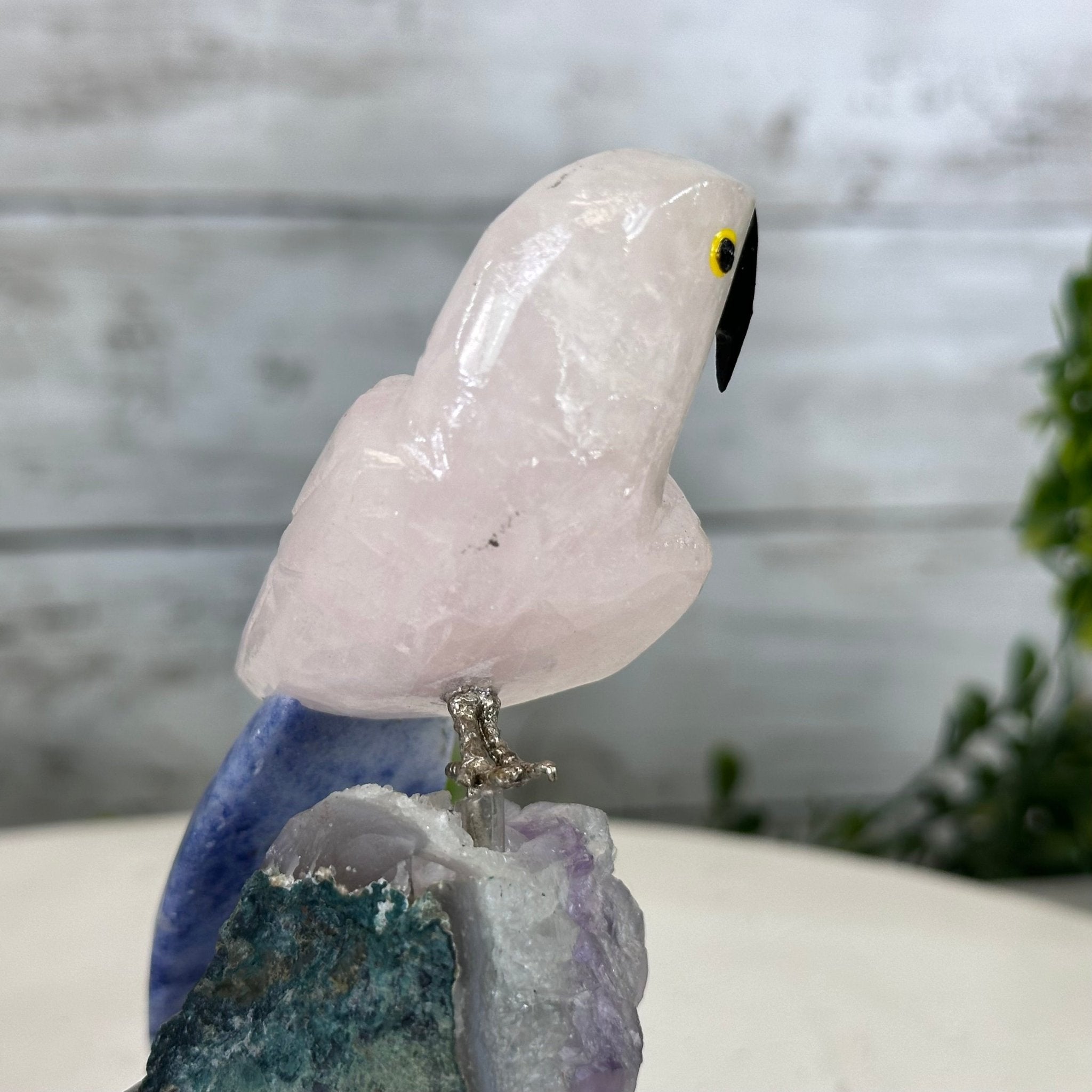 Small Hand - Carved Rose Quartz Parrot on an Amethyst Base #3002 - RQPAM - 028 - Brazil GemsBrazil GemsSmall Hand - Carved Rose Quartz Parrot on an Amethyst Base #3002 - RQPAM - 028Crystal Birds3002 - RQPAM - 028