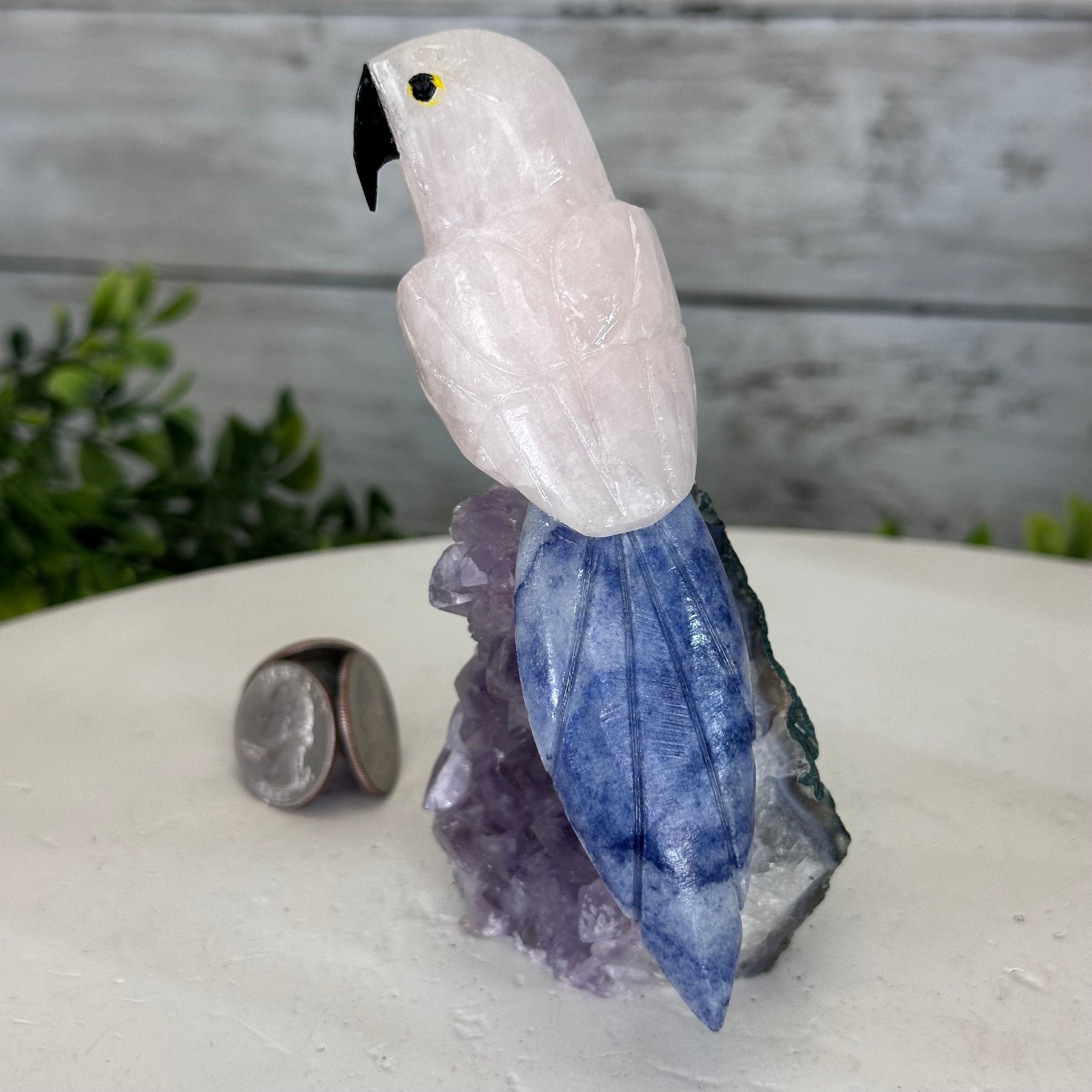 Small Hand - Carved Rose Quartz Parrot on an Amethyst Base #3002 - RQPAM - 028 - Brazil GemsBrazil GemsSmall Hand - Carved Rose Quartz Parrot on an Amethyst Base #3002 - RQPAM - 028Crystal Birds3002 - RQPAM - 028