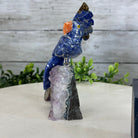 Small Hand - Carved Sodalite Cockatoo on an Amethyst Base #3002 - SOCAM - 016 - Brazil GemsBrazil GemsSmall Hand - Carved Sodalite Cockatoo on an Amethyst Base #3002 - SOCAM - 016Crystal Birds3002 - SOCAM - 016