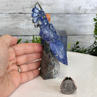 Small Hand - Carved Sodalite Cockatoo on an Amethyst Base #3002 - SOCAM - 016 - Brazil GemsBrazil GemsSmall Hand - Carved Sodalite Cockatoo on an Amethyst Base #3002 - SOCAM - 016Crystal Birds3002 - SOCAM - 016