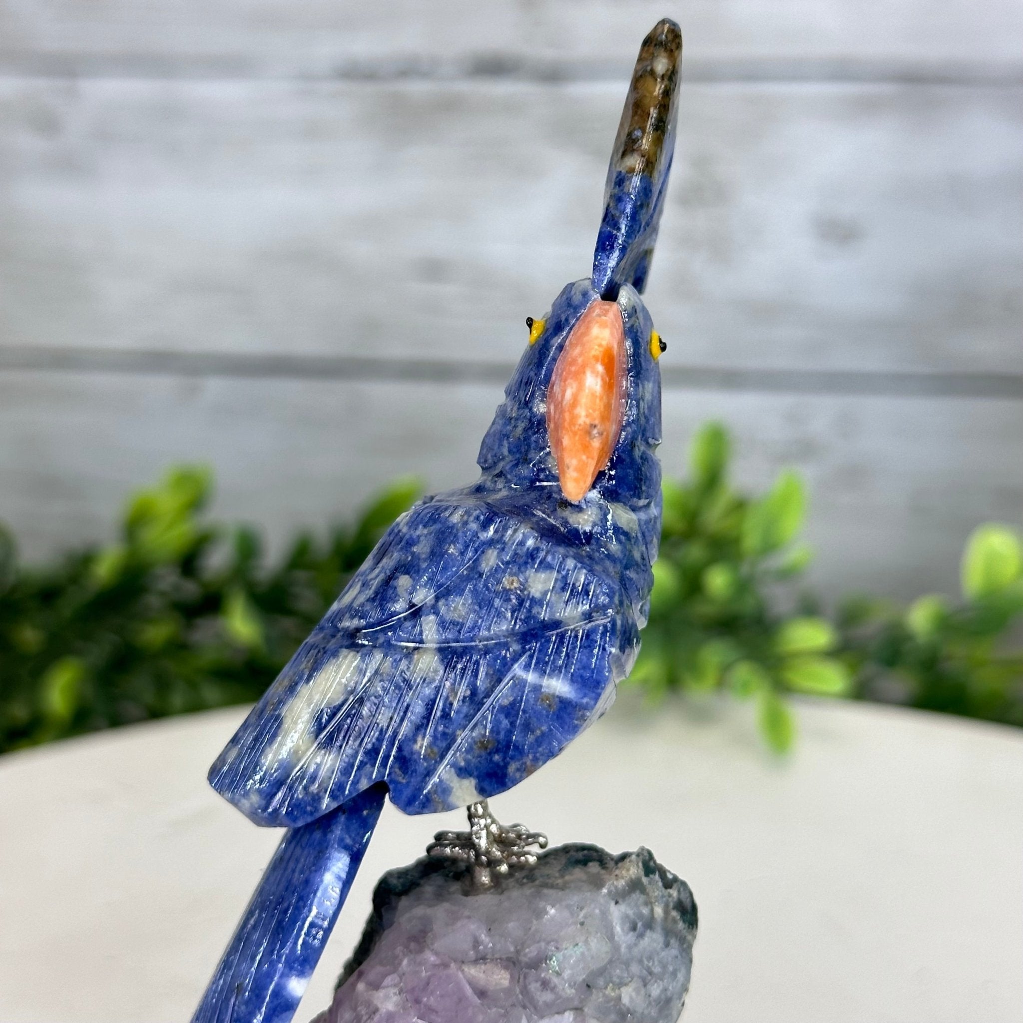 Small Hand - Carved Sodalite Cockatoo on an Amethyst Base #3002 - SOCAM - 016 - Brazil GemsBrazil GemsSmall Hand - Carved Sodalite Cockatoo on an Amethyst Base #3002 - SOCAM - 016Crystal Birds3002 - SOCAM - 016