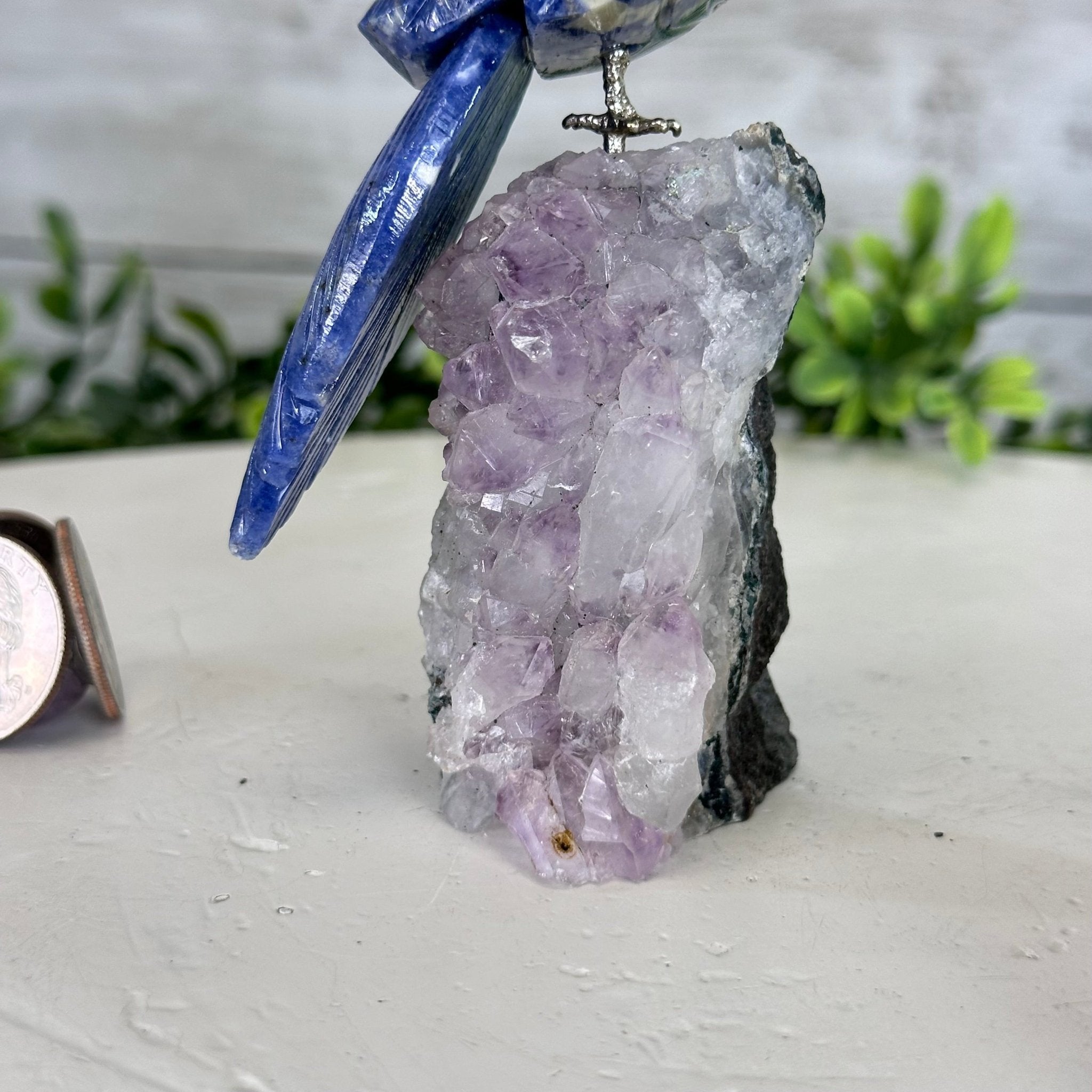 Small Hand - Carved Sodalite Cockatoo on an Amethyst Base #3002 - SOCAM - 016 - Brazil GemsBrazil GemsSmall Hand - Carved Sodalite Cockatoo on an Amethyst Base #3002 - SOCAM - 016Crystal Birds3002 - SOCAM - 016