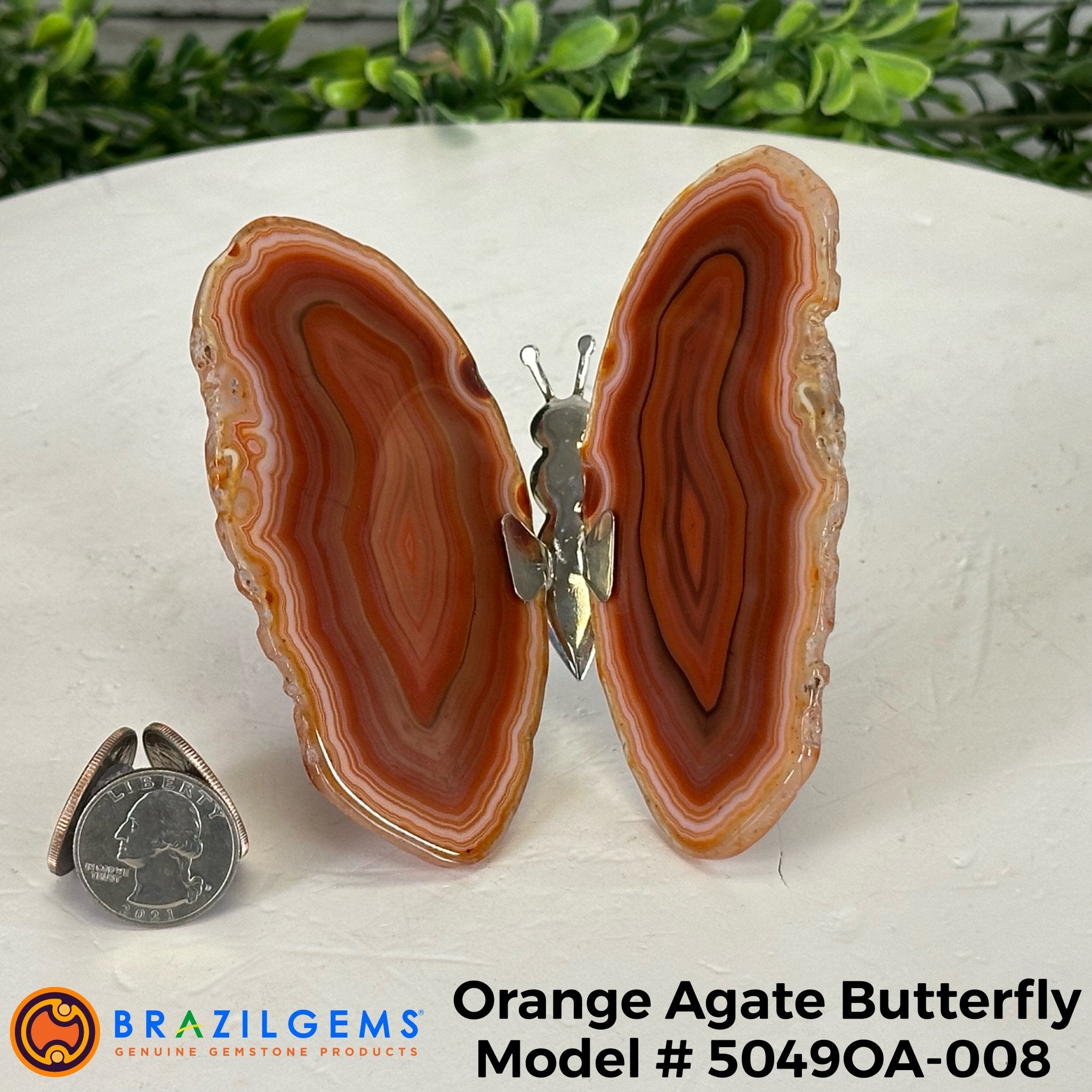 Small Orange Agate "Butterfly Wings", ~4" Length #5049OA - Brazil GemsBrazil GemsSmall Orange Agate "Butterfly Wings", ~4" Length #5049OAAgate Butterfly Wings5049OA-008