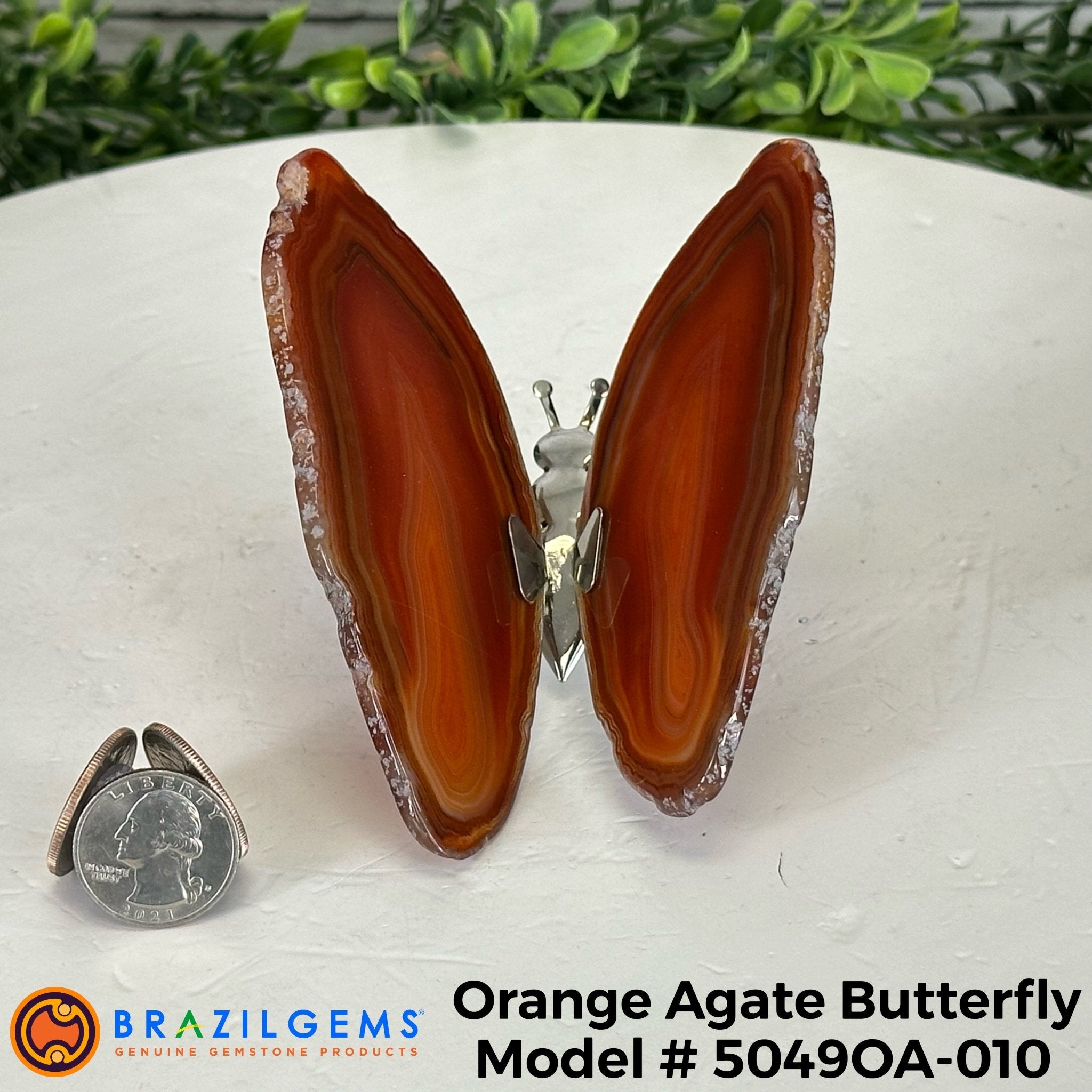 Small Orange Agate "Butterfly Wings", ~4" Length #5049OA - Brazil GemsBrazil GemsSmall Orange Agate "Butterfly Wings", ~4" Length #5049OAAgate Butterfly Wings5049OA-010