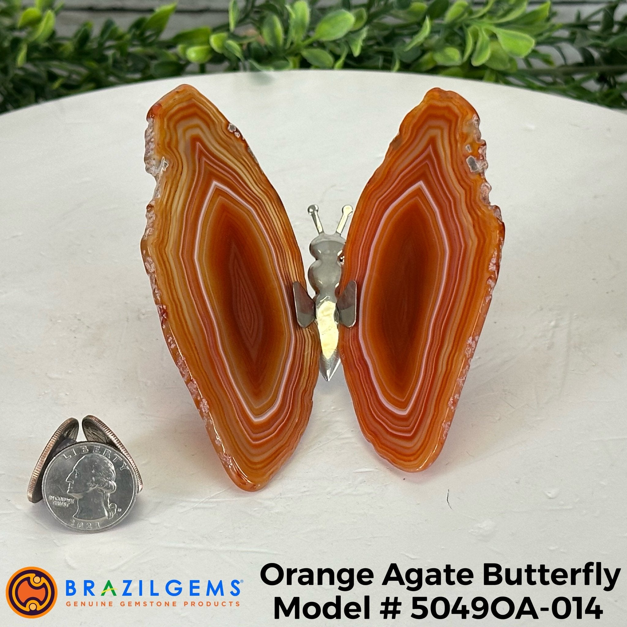 Small Orange Agate "Butterfly Wings", ~4" Length #5049OA - Brazil GemsBrazil GemsSmall Orange Agate "Butterfly Wings", ~4" Length #5049OAAgate Butterfly Wings5049OA-014