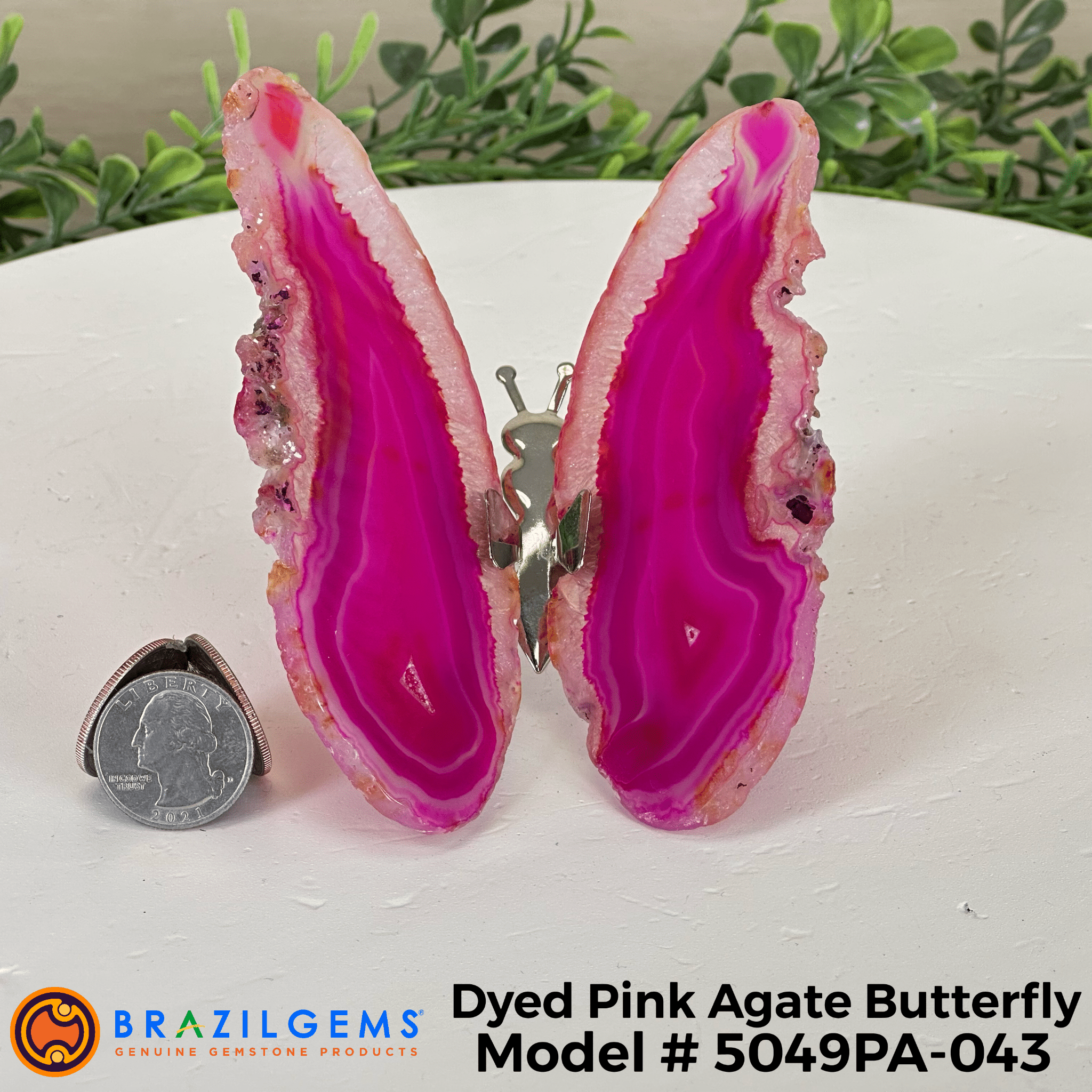 Small Pink Agate "Butterfly Wings", ~4" Length #5049PA - Brazil GemsBrazil GemsSmall Pink Agate "Butterfly Wings", ~4" Length #5049PAAgate Butterfly Wings5049PA - 026