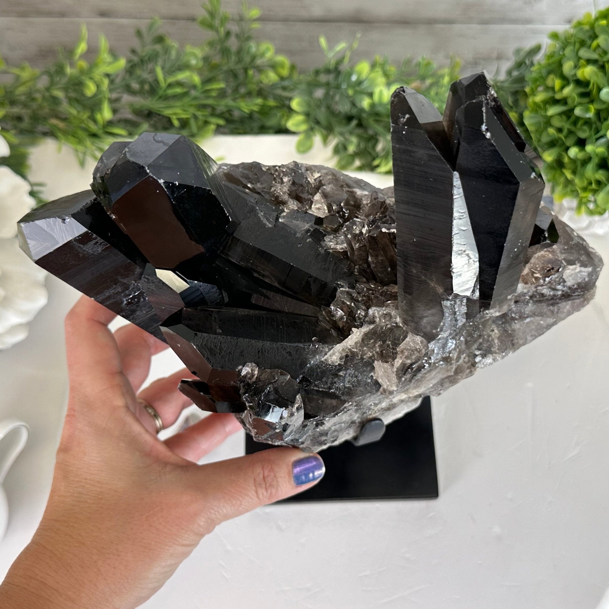 XL Natural Smoky Quartz cluster selling with stand