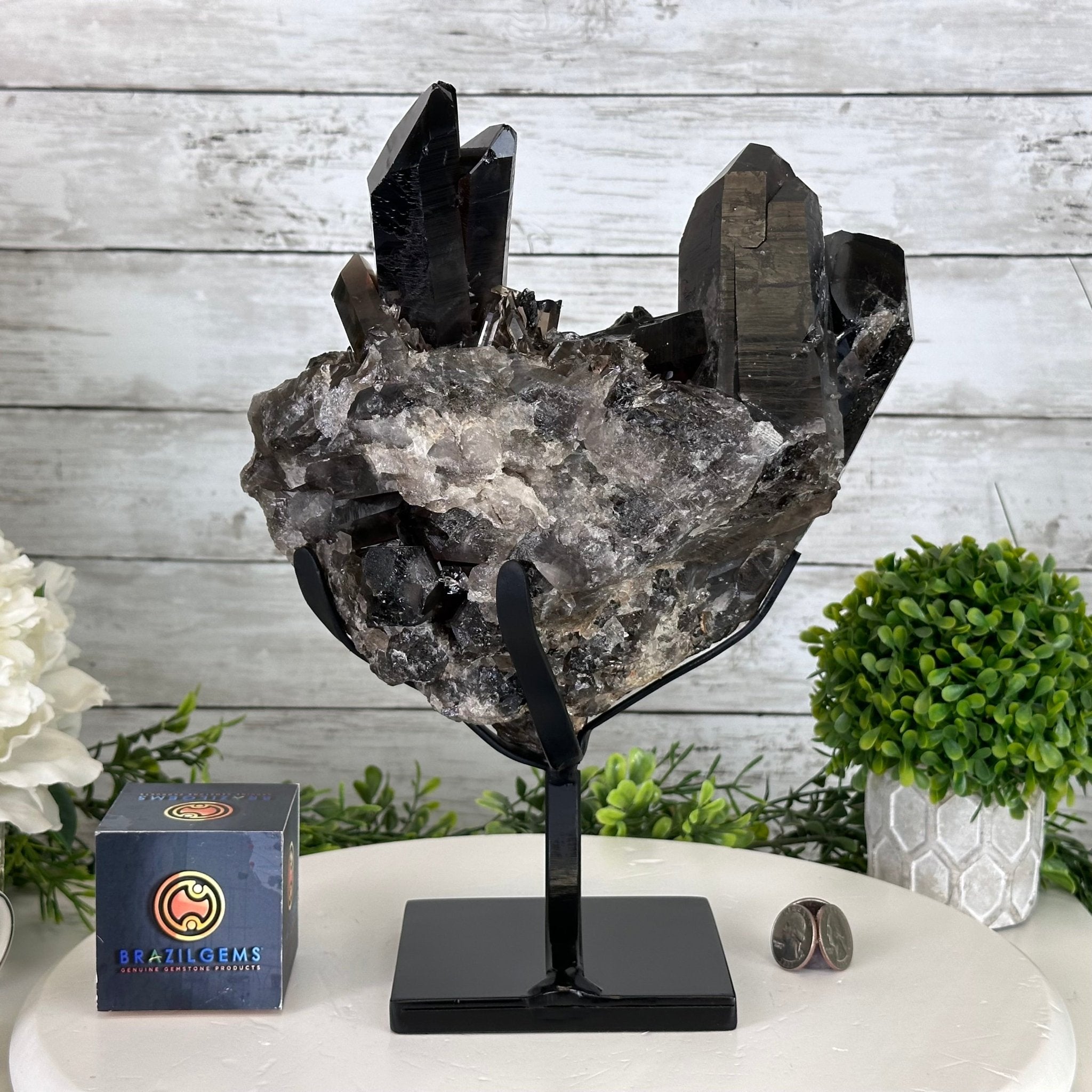 Cristal★ Smoky Quartz Cluster on a Metal Stand Model #5700-0014