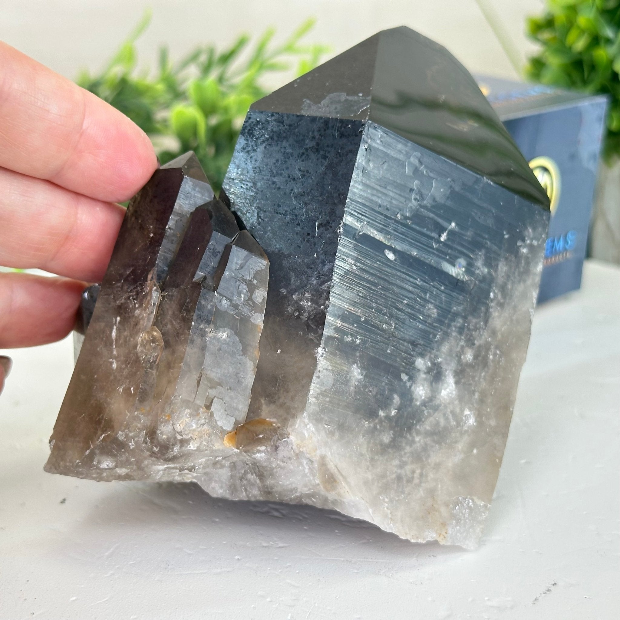 Smoky Quartz Crystal Cluster For Sale by Brazil Gems® #5702-0001