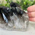 Smoky Quartz Crystal Cluster 2.3 lbs & 3.3" Tall #5702 - 0003 - Brazil GemsBrazil GemsSmoky Quartz Crystal Cluster 2.3 lbs & 3.3" Tall #5702 - 0003Clusters With Natural Bases5702 - 0003