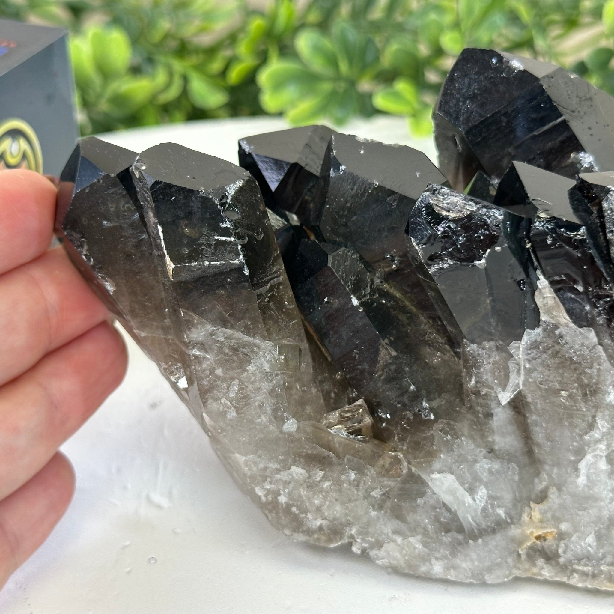 Smoky Quartz Crystal Cluster 2.3 lbs & 3.3" Tall #5702 - 0003 - Brazil GemsBrazil GemsSmoky Quartz Crystal Cluster 2.3 lbs & 3.3" Tall #5702 - 0003Clusters With Natural Bases5702 - 0003