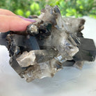 Smoky Quartz Crystal Cluster 2.3 lbs & 3.4" Tall #5702 - 0002 - Brazil GemsBrazil GemsSmoky Quartz Crystal Cluster 2.3 lbs & 3.4" Tall #5702 - 0002Clusters With Natural Bases5702 - 0002