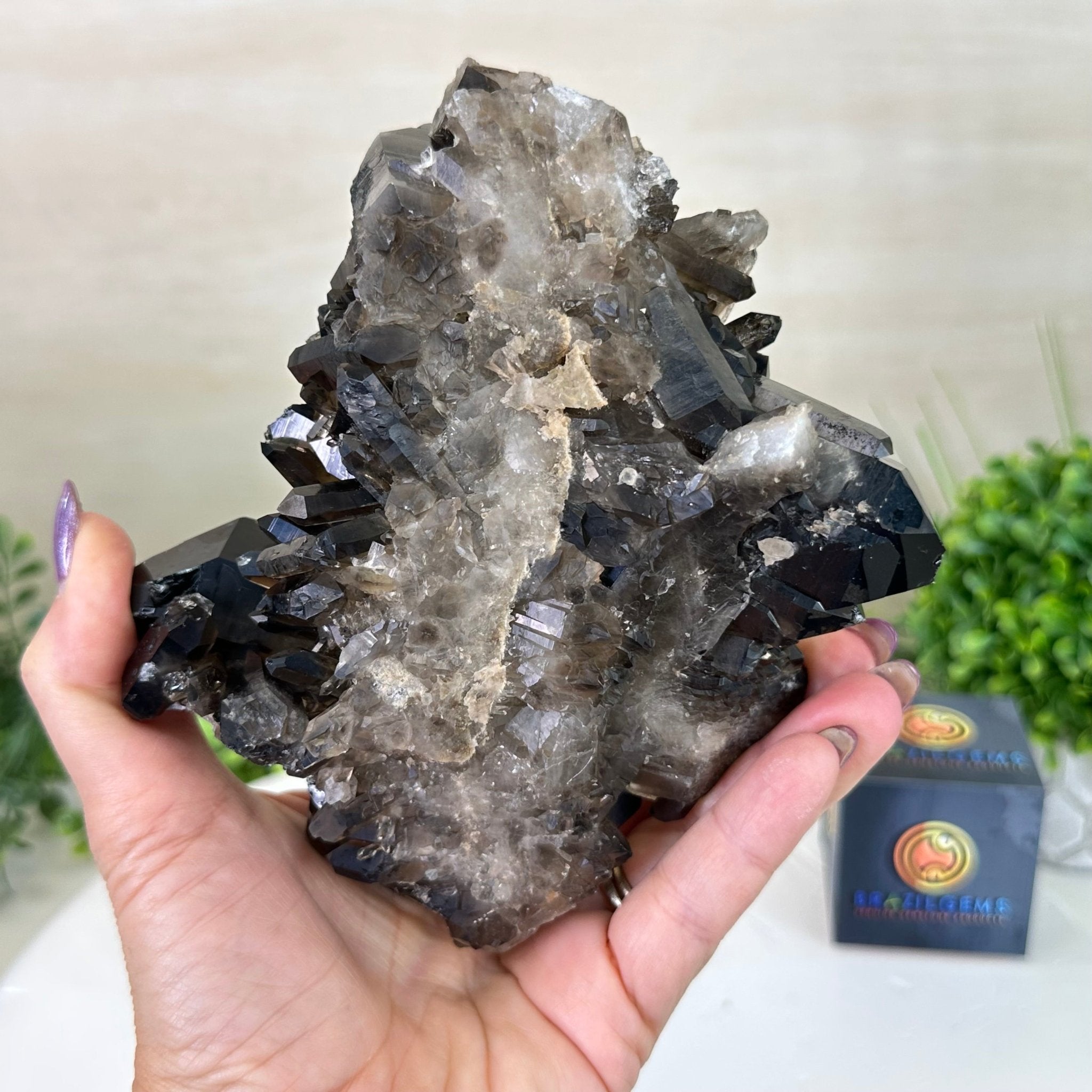 Smoky Quartz Crystal Cluster 2.3 lbs & 3.4" Tall #5702 - 0002 - Brazil GemsBrazil GemsSmoky Quartz Crystal Cluster 2.3 lbs & 3.4" Tall #5702 - 0002Clusters With Natural Bases5702 - 0002