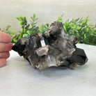 Smoky Quartz Crystal Cluster 2.3 lbs & 3.4" Tall #5702 - 0002 - Brazil GemsBrazil GemsSmoky Quartz Crystal Cluster 2.3 lbs & 3.4" Tall #5702 - 0002Clusters With Natural Bases5702 - 0002