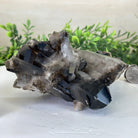 Smoky Quartz Crystal Cluster 2.3 lbs & 3.4" Tall #5702 - 0002 - Brazil GemsBrazil GemsSmoky Quartz Crystal Cluster 2.3 lbs & 3.4" Tall #5702 - 0002Clusters With Natural Bases5702 - 0002