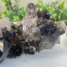 Smoky Quartz Crystal Cluster 2.3 lbs & 3.4" Tall #5702 - 0002 - Brazil GemsBrazil GemsSmoky Quartz Crystal Cluster 2.3 lbs & 3.4" Tall #5702 - 0002Clusters With Natural Bases5702 - 0002