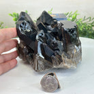 Smoky Quartz Crystal Cluster 3.6 lbs & 3.7" Tall #5702 - 0006 - Brazil GemsBrazil GemsSmoky Quartz Crystal Cluster 3.6 lbs & 3.7" Tall #5702 - 0006Clusters With Natural Bases5702 - 0006