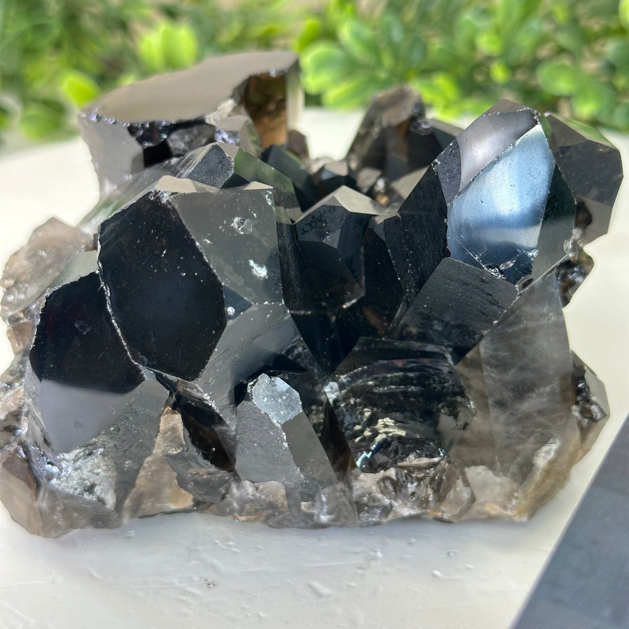 Smoky Quartz Crystal Cluster 3.6 lbs & 3.7" Tall #5702 - 0006 - Brazil GemsBrazil GemsSmoky Quartz Crystal Cluster 3.6 lbs & 3.7" Tall #5702 - 0006Clusters With Natural Bases5702 - 0006