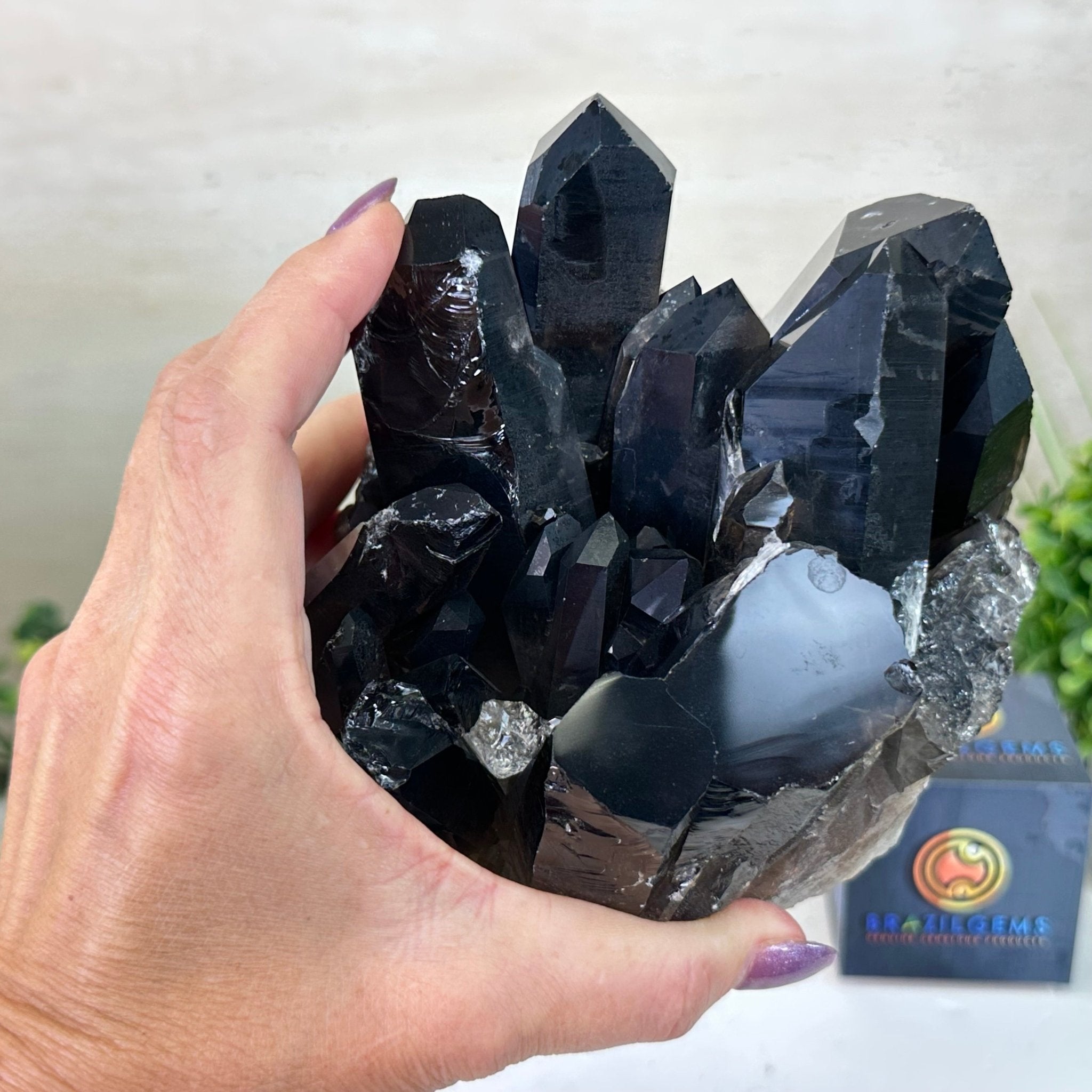 Smoky Quartz Crystal Cluster For Sale by Brazil Gems® #5702-0006