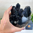 Smoky Quartz Crystal Cluster 3.6 lbs & 3.7" Tall #5702 - 0006 - Brazil GemsBrazil GemsSmoky Quartz Crystal Cluster 3.6 lbs & 3.7" Tall #5702 - 0006Clusters With Natural Bases5702 - 0006