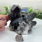 Smoky Quartz Crystal Cluster 3.8 lbs & 4.4" Tall #5702 - 0007 - Brazil GemsBrazil GemsSmoky Quartz Crystal Cluster 3.8 lbs & 4.4" Tall #5702 - 0007Clusters With Natural Bases5702 - 0007