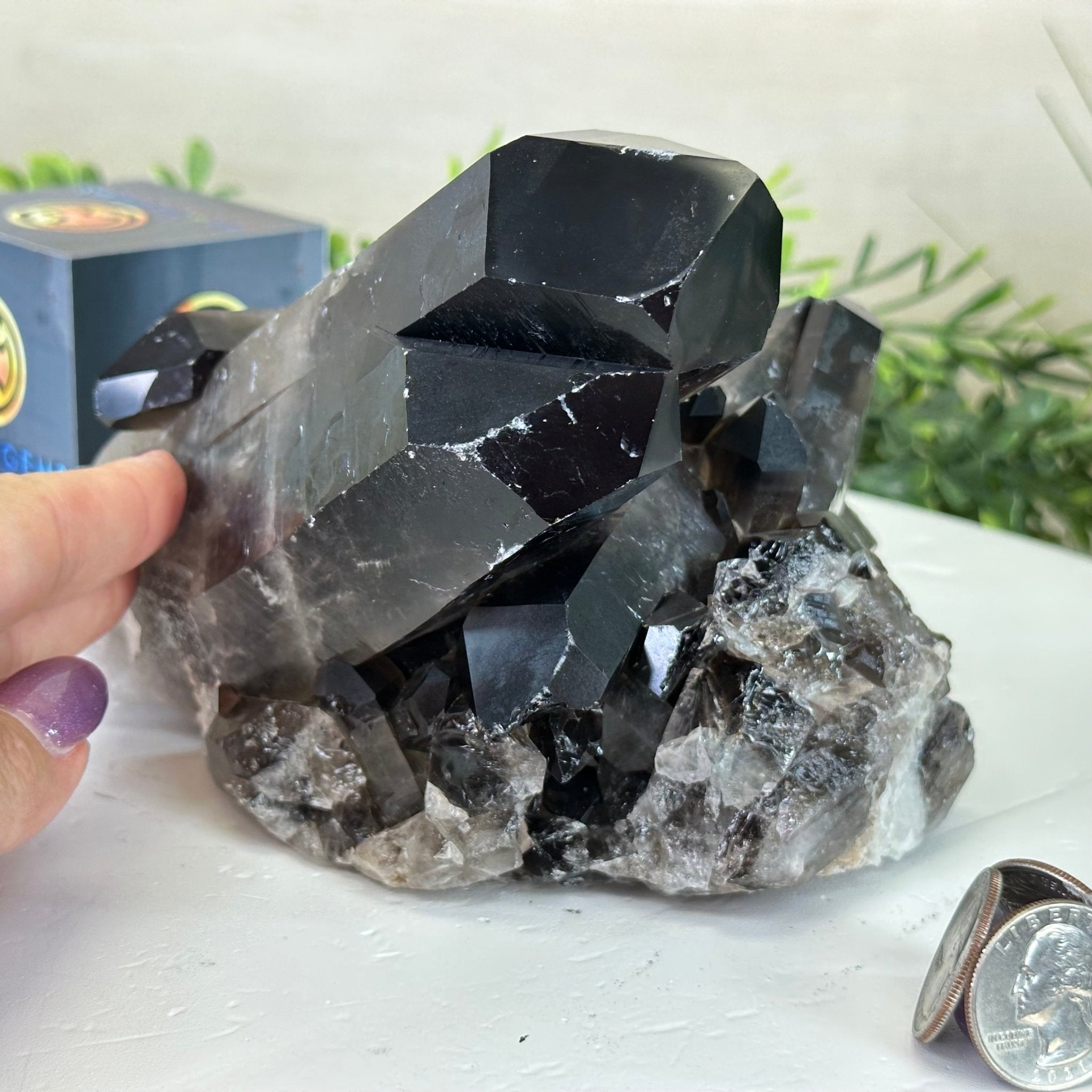 Smoky Quartz Crystal Cluster For Sale by Brazil Gems® #5702-0007