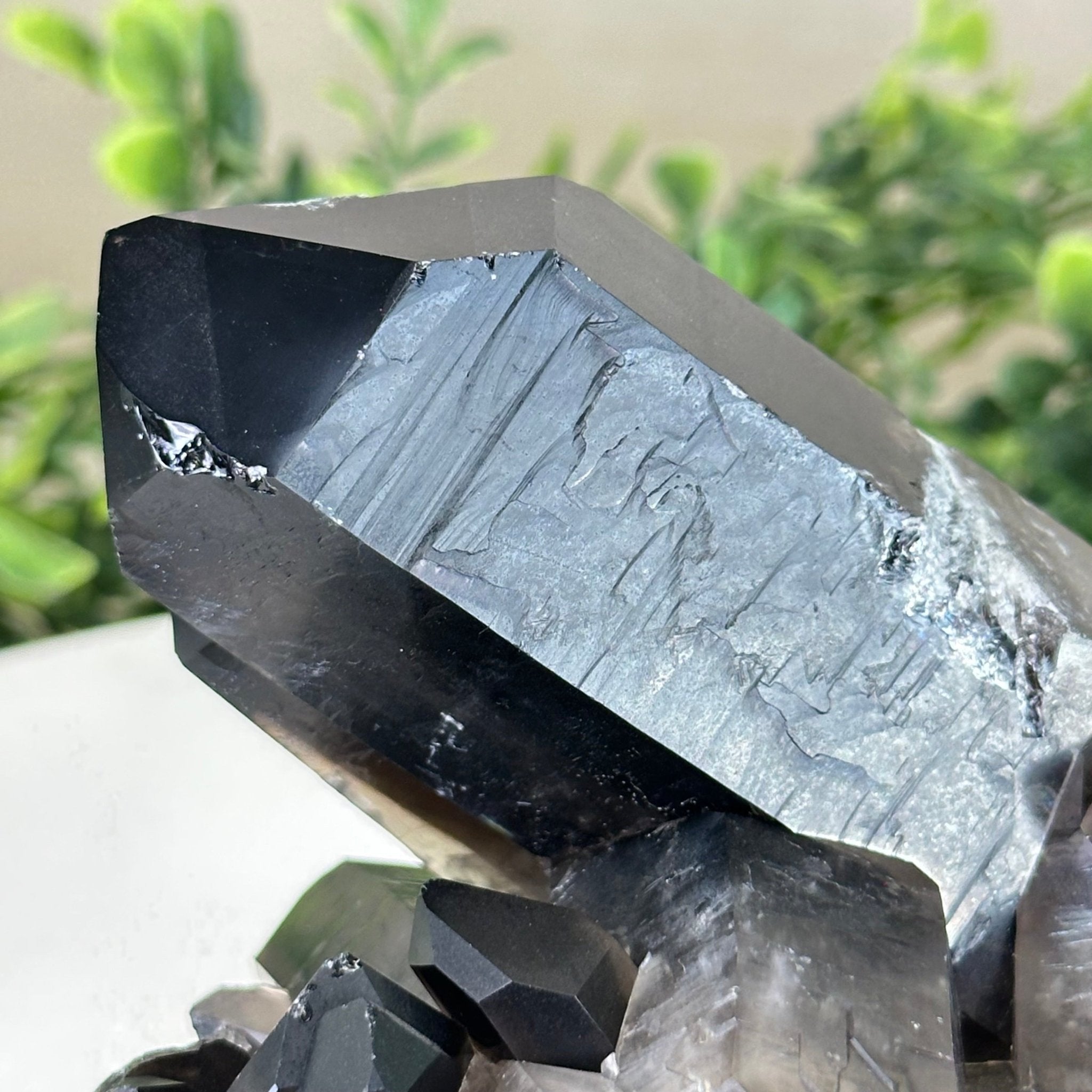 Smoky Quartz Crystal Cluster For Sale by Brazil Gems® #5702-0007