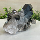 Smoky Quartz Crystal Cluster 3.8 lbs & 4.4" Tall #5702 - 0007 - Brazil GemsBrazil GemsSmoky Quartz Crystal Cluster 3.8 lbs & 4.4" Tall #5702 - 0007Clusters With Natural Bases5702 - 0007