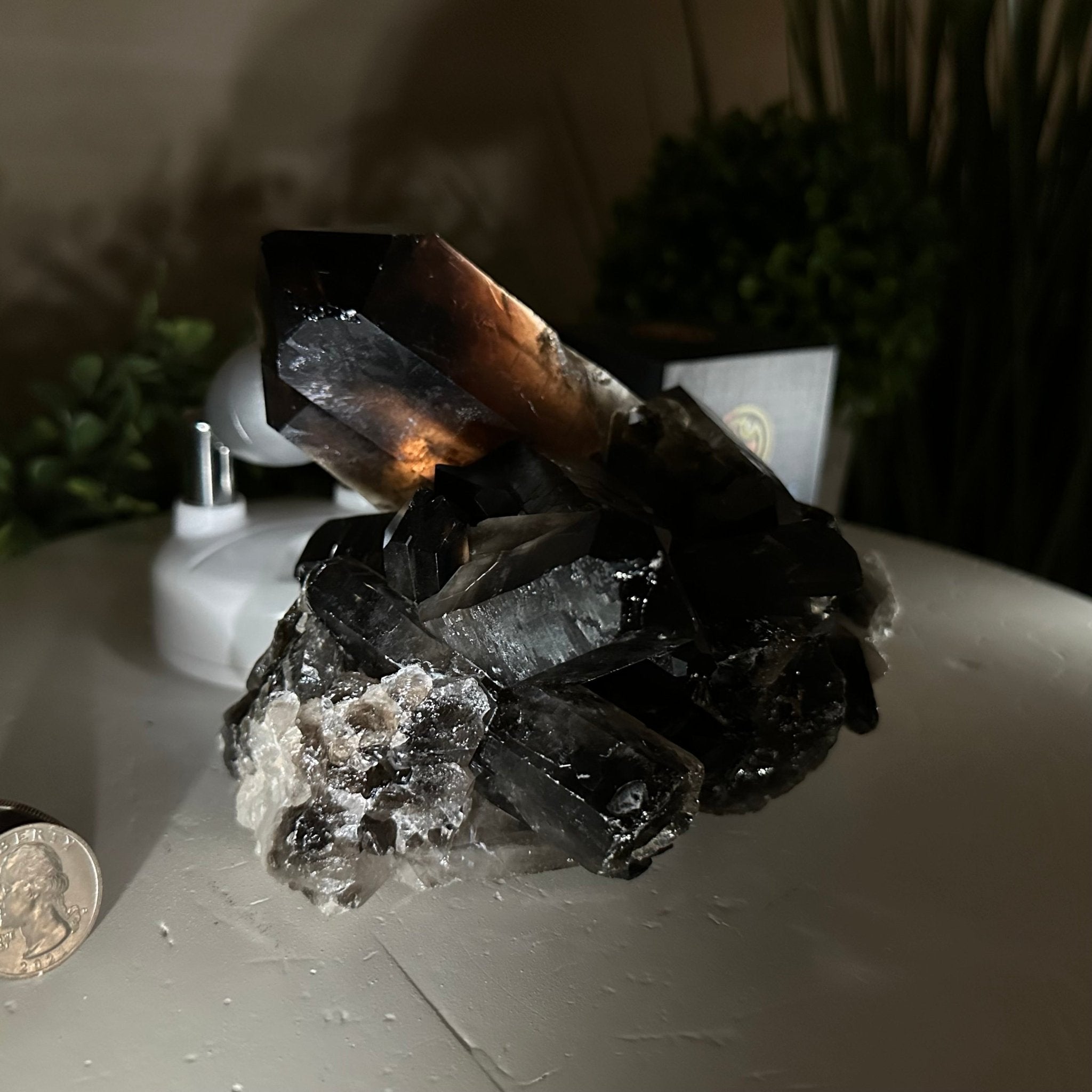 グランドインパクト jjcostom CREEK Groundstone Brazilian Jiu Jitsu