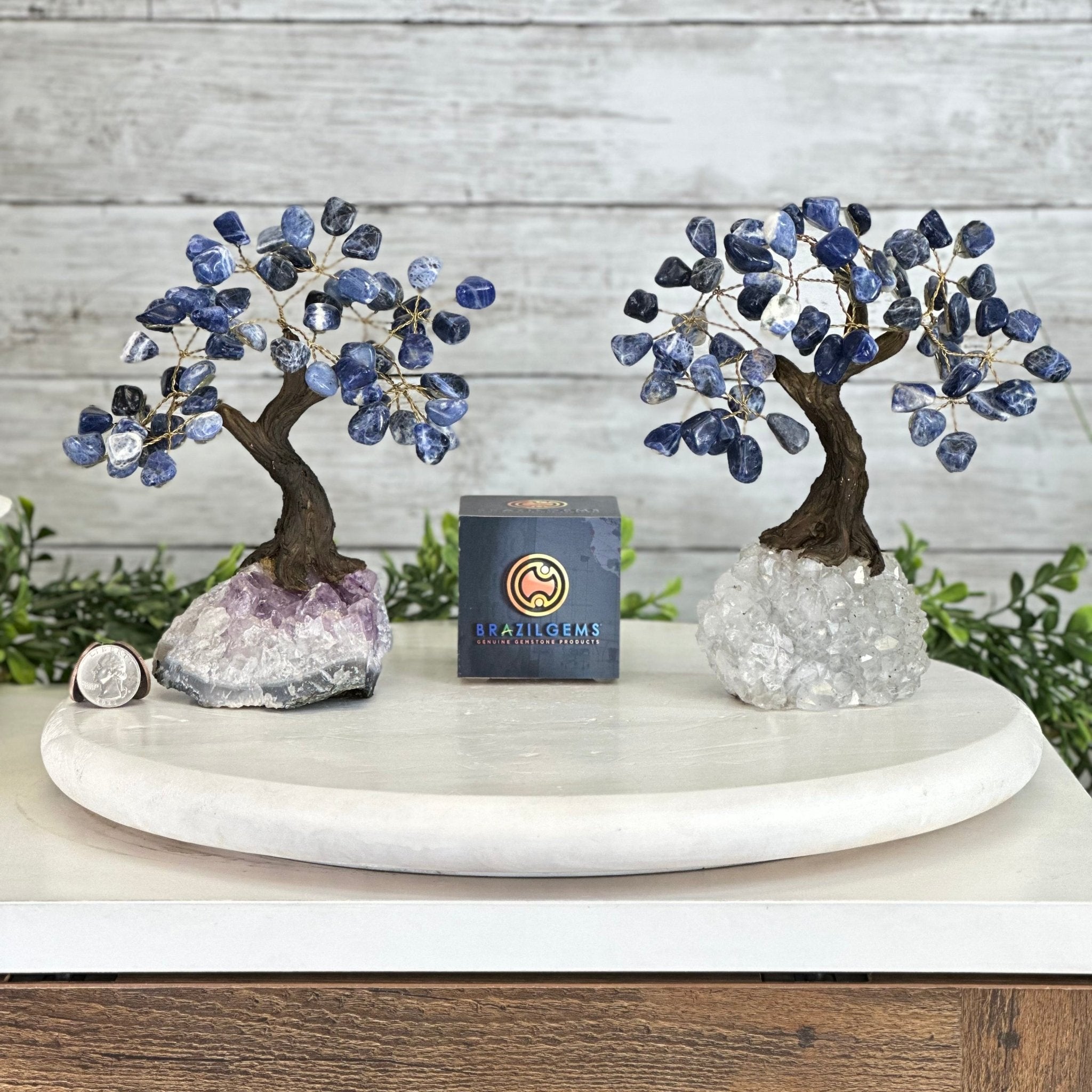 Sodalite Gemstone Tree 7