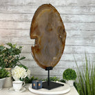 Special Large Natural Brazilian Agate Slice on a Metal Stand, 29.5" Tall #5056-0045 - Brazil GemsBrazil GemsSpecial Large Natural Brazilian Agate Slice on a Metal Stand, 29.5" Tall #5056-0045Slices on Fixed Bases5056-0045