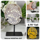 Special Smaller Natural Brazilian Agate Slices on Metal Stands Model #5067 by Brazil Gems - Brazil GemsBrazil GemsSpecial Smaller Natural Brazilian Agate Slices on Metal Stands Model #5067 by Brazil GemsSlices on Fixed Bases5067NA-007