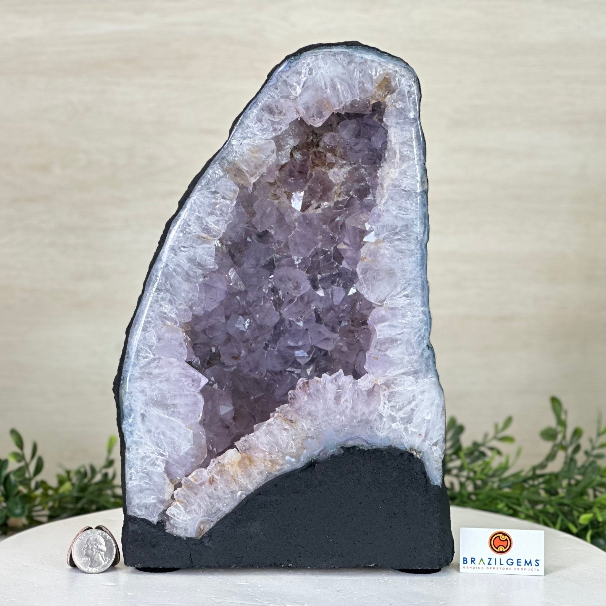 Standard Plus Quality Amethyst Cathedral, 14.4 lbs & 11.6" Tall #5601 - 1244 - Brazil GemsBrazil GemsStandard Plus Quality Amethyst Cathedral, 14.4 lbs & 11.6" Tall #5601 - 1244Cathedrals5601 - 1244