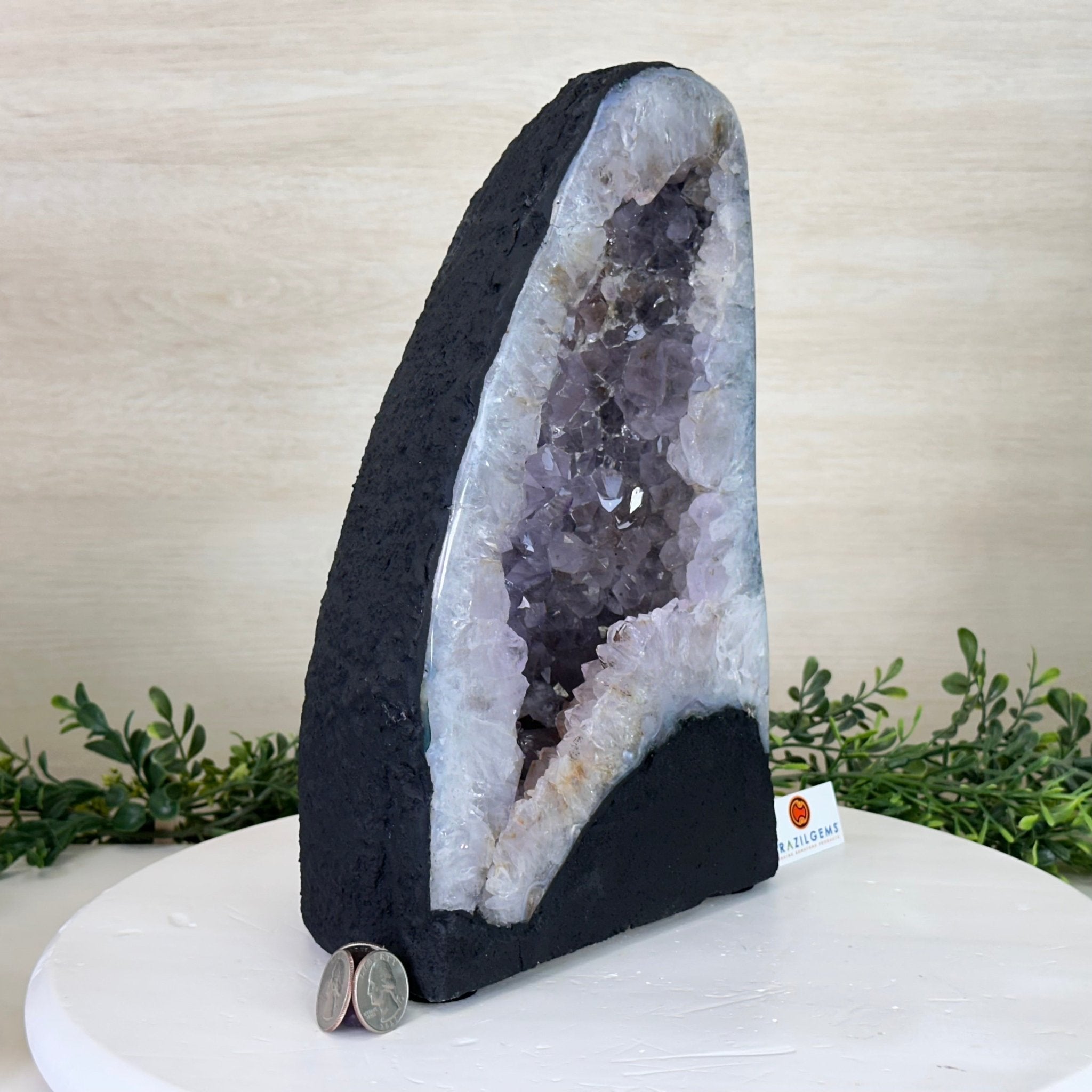 Standard Plus Quality Amethyst Cathedral, 14.4 lbs & 11.6" Tall #5601 - 1244 - Brazil GemsBrazil GemsStandard Plus Quality Amethyst Cathedral, 14.4 lbs & 11.6" Tall #5601 - 1244Cathedrals5601 - 1244