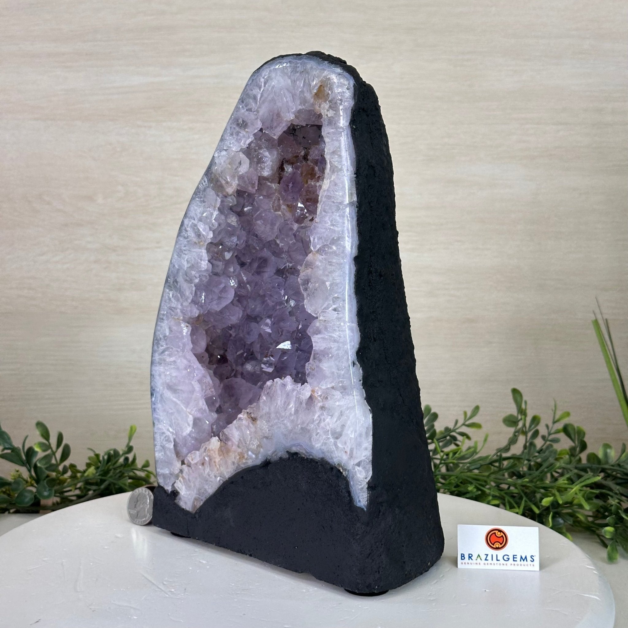 Standard Plus Quality Amethyst Cathedral, 14.4 lbs & 11.6" Tall #5601 - 1244 - Brazil GemsBrazil GemsStandard Plus Quality Amethyst Cathedral, 14.4 lbs & 11.6" Tall #5601 - 1244Cathedrals5601 - 1244